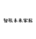 智联未来